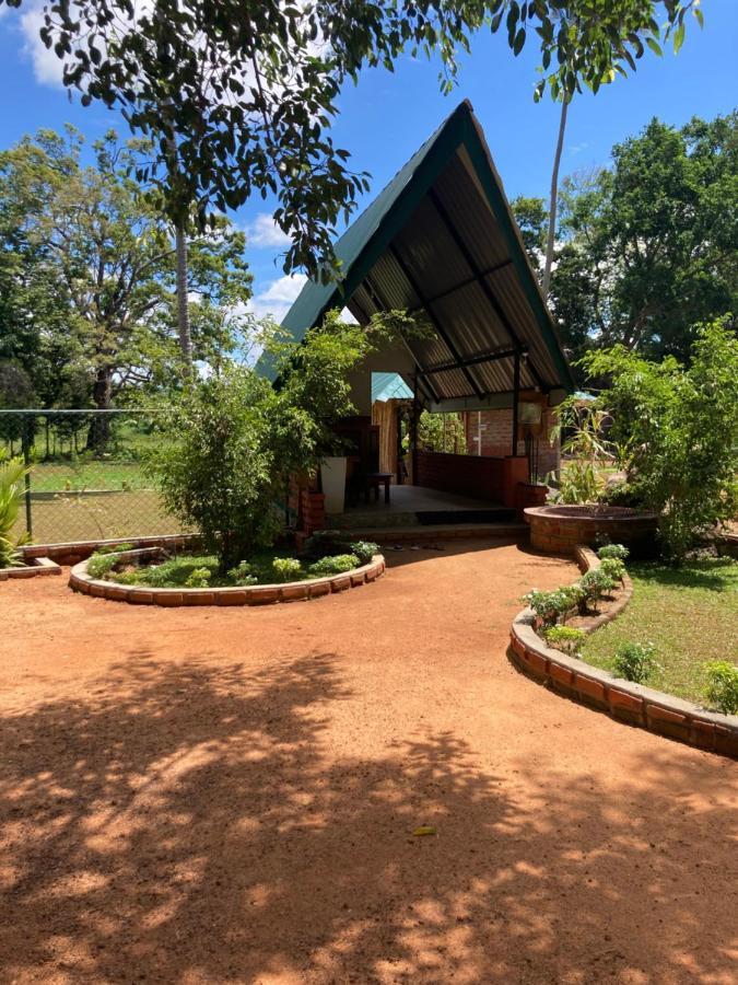 The View Hotel สิกิริยา ภายนอก รูปภาพ